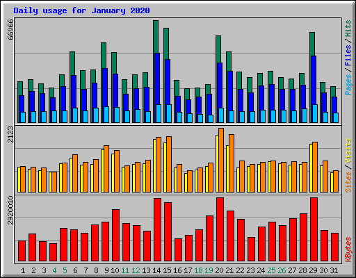 Daily usage for January 2020