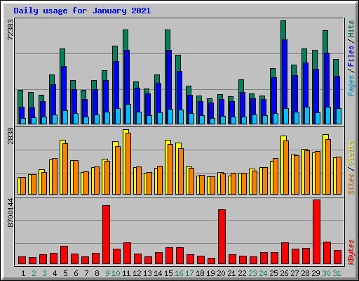 Daily usage for January 2021
