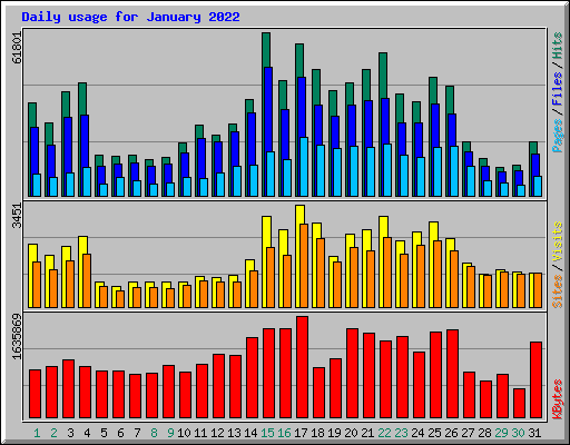Daily usage for January 2022