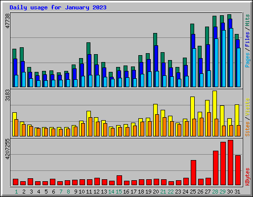 Daily usage for January 2023