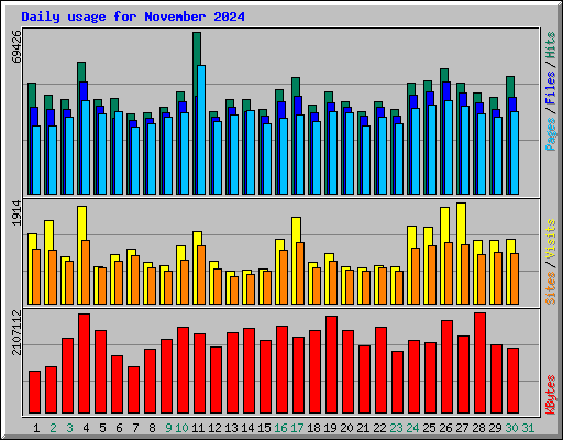 Daily usage for November 2024