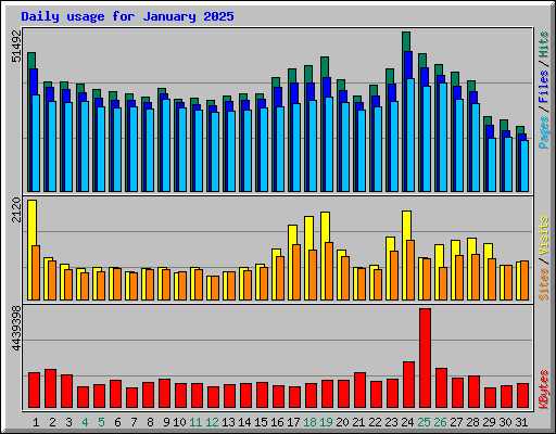 Daily usage for January 2025