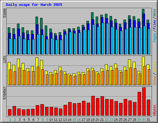 Daily usage for March 2025