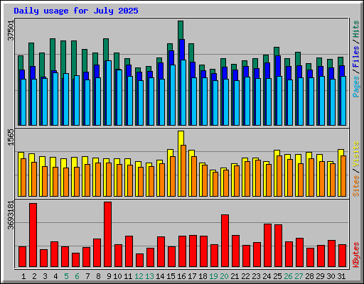 Daily usage for July 2025