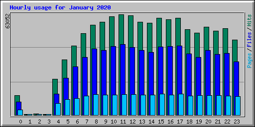 Hourly usage for January 2020