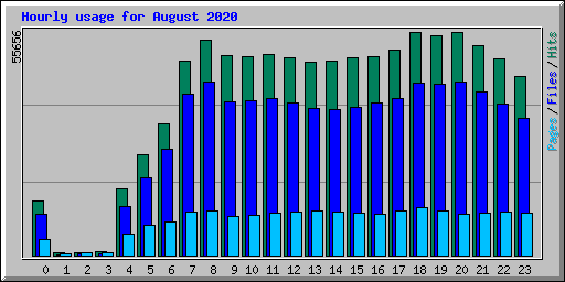 Hourly usage for August 2020