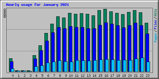 Hourly usage for January 2021