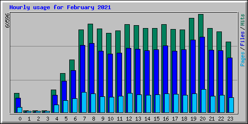 Hourly usage for February 2021