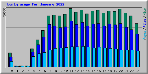 Hourly usage for January 2022