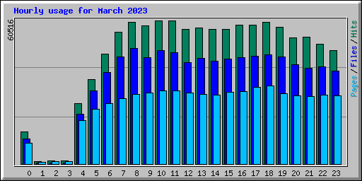 Hourly usage for March 2023