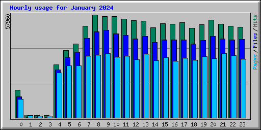 Hourly usage for January 2024