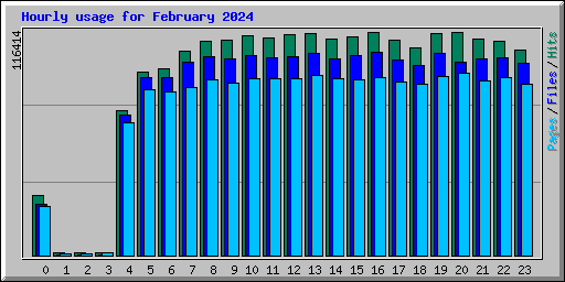 Hourly usage for February 2024