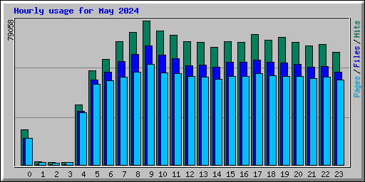Hourly usage for May 2024