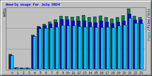 Hourly usage for July 2024