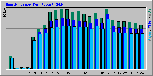 Hourly usage for August 2024