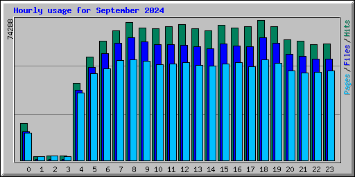 Hourly usage for September 2024