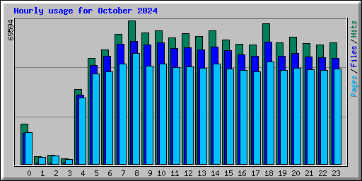 Hourly usage for October 2024