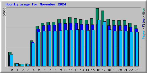 Hourly usage for November 2024