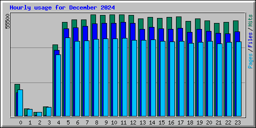 Hourly usage for December 2024