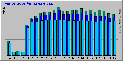 Hourly usage for January 2025