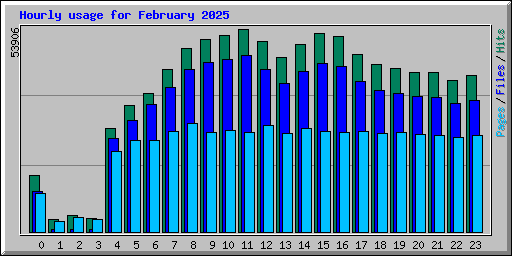 Hourly usage for February 2025
