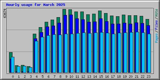 Hourly usage for March 2025
