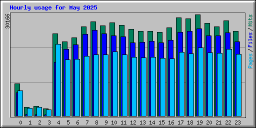 Hourly usage for May 2025