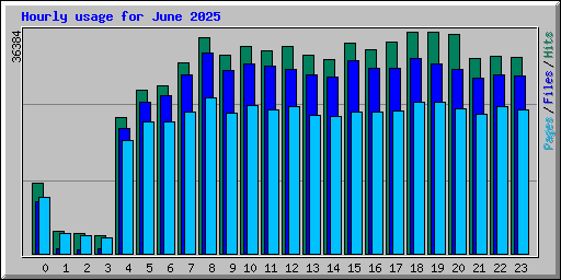Hourly usage for June 2025