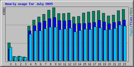 Hourly usage for July 2025