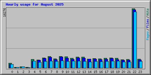 Hourly usage for August 2025