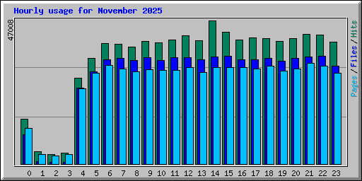 Hourly usage for November 2025