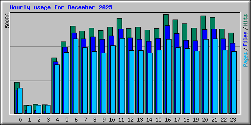 Hourly usage for December 2025