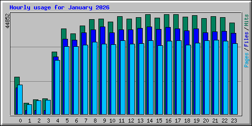 Hourly usage for January 2026