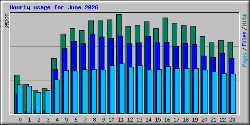 Hourly usage for June 2026