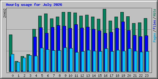 Hourly usage for July 2026