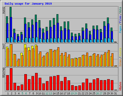 Daily usage for January 2019