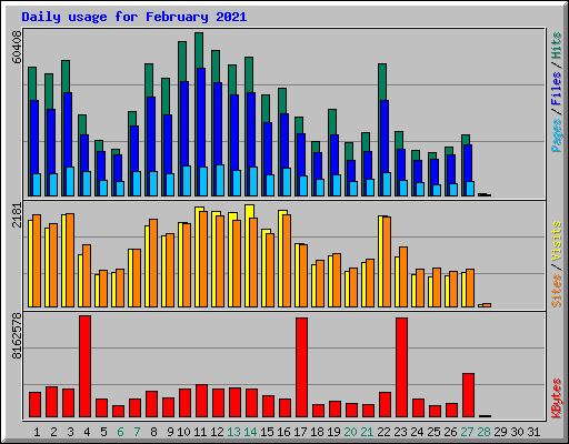 Daily usage for February 2021