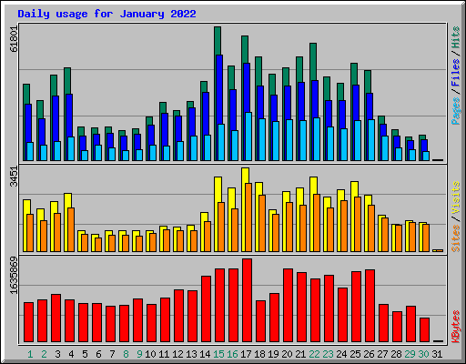 Daily usage for January 2022
