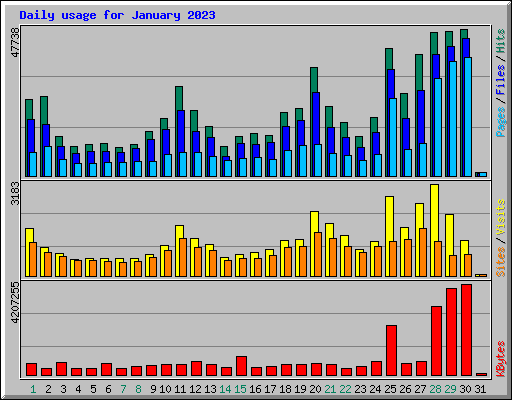 Daily usage for January 2023