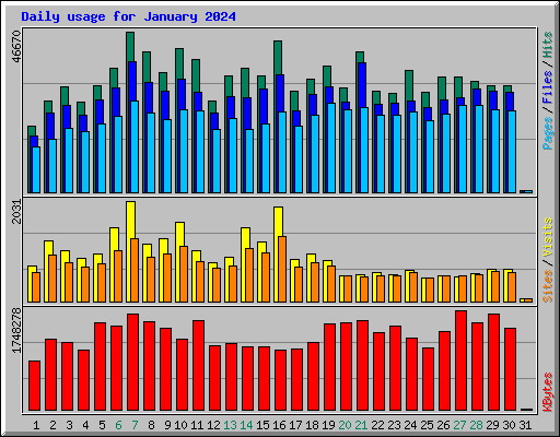 Daily usage for January 2024