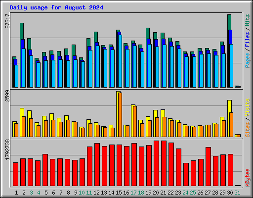 Daily usage for August 2024