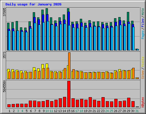 Daily usage for January 2026