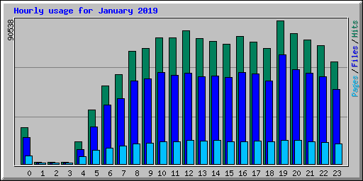 Hourly usage for January 2019