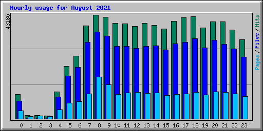 Hourly usage for August 2021