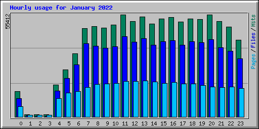 Hourly usage for January 2022