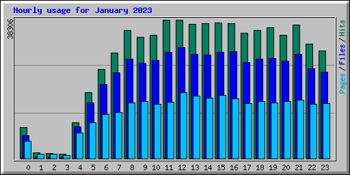 Hourly usage for January 2023