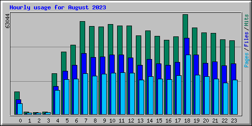 Hourly usage for August 2023