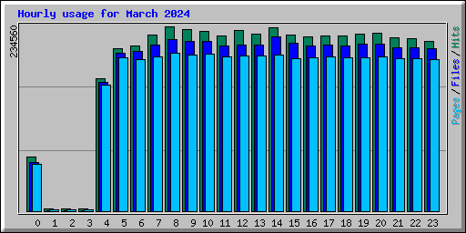 Hourly usage for March 2024