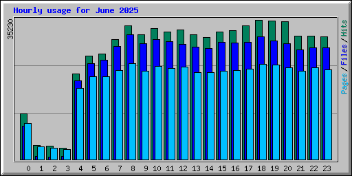 Hourly usage for June 2025