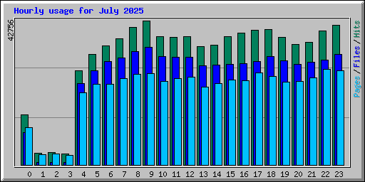 Hourly usage for July 2025